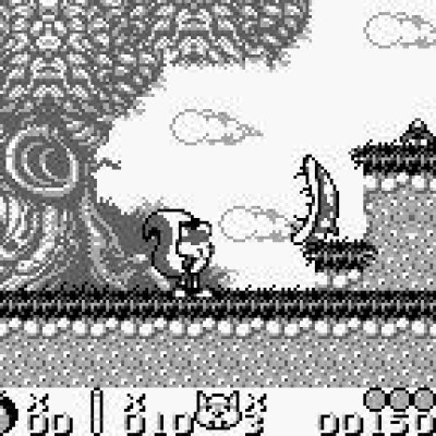 Qui a dit Royaume Champignon?